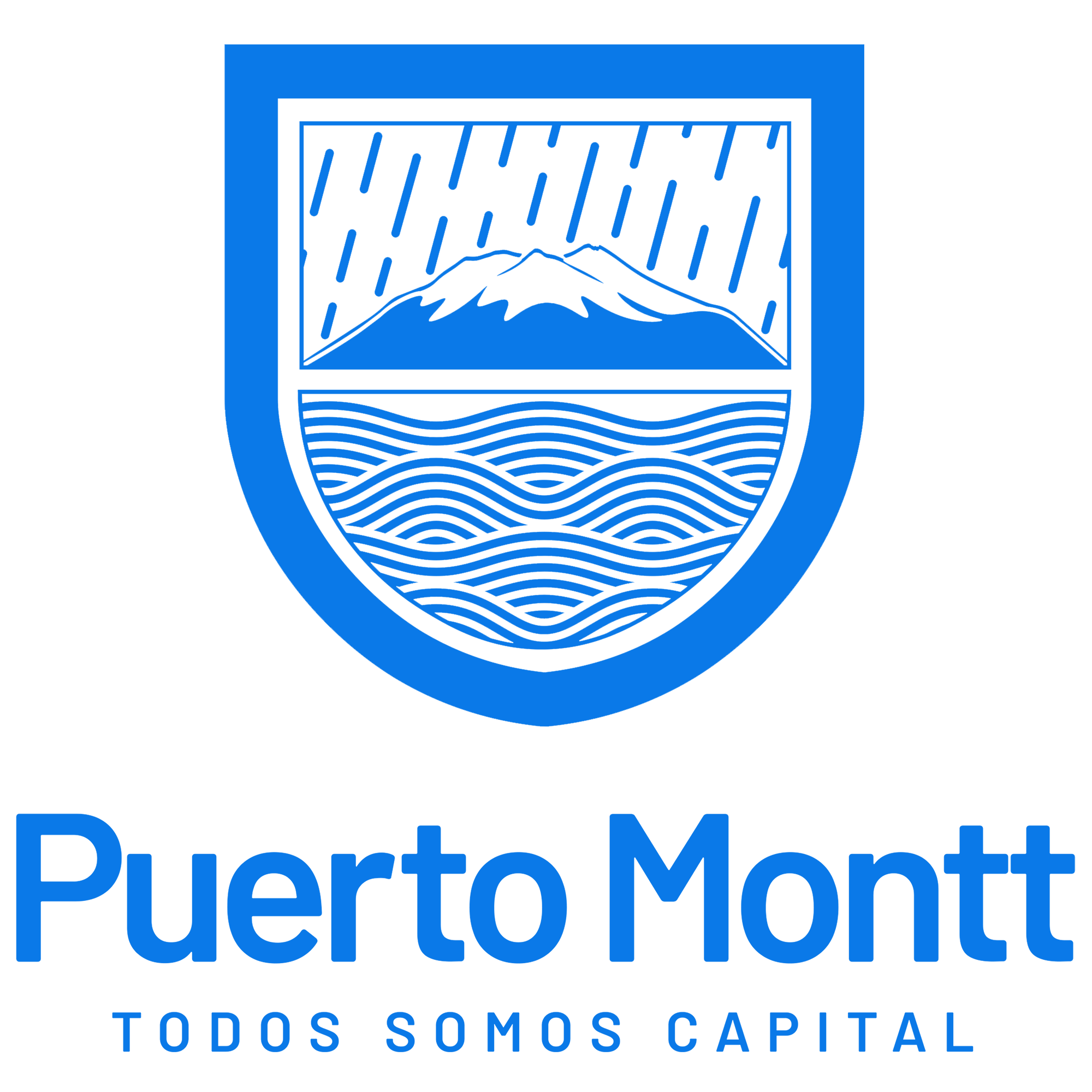 Municipalidad de Puerto Montt